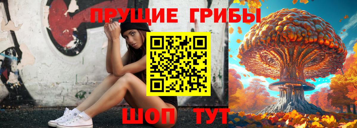 Псилоцибиновые грибы MAGIC MUSHROOMS  Вход с VPN  Электросталь 